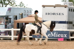SBM_15636