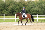 SBM_000154