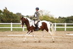 SBM_002566