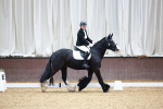 SBM_000334