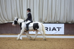 SBM_000462