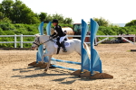 SBM_006706