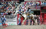 3HRodeo_CFD_JUL_18_2026_03775