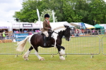 SBM_02622
