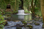Lower Forge