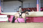 SBM_08031