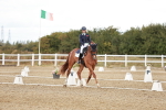 SBM_005494