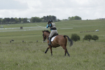 BVHT 140517  IXC -42