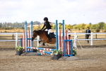 SBM_006197