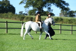 SBM_35367