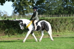 SBM_52089