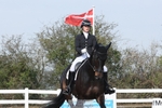 Cls 10 BD Young Horse 6YO portfolio