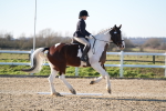 SBM_004408
