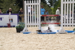 SBM_45520