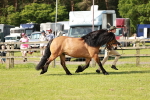 SBM_01597