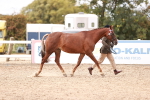 SBM_16283