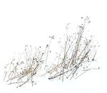 SMALLSCAPES portfolio