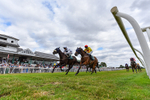 220726-Race 3-Wise Crack-3700