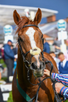 150723-Race 6-Robert Johnson-0683