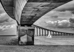 Monochrome portfolio