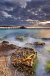 z2295 Totland Pier
