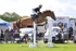 BPP_5961