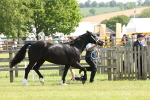 SBM_02322