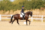 SBM_018368