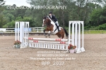BPP_2937