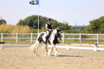 SBM_006558