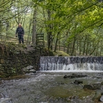 Scout Moor