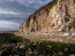 Flamborough Head