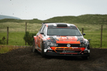 Bear Comp Tyrone Stages 4 of 110