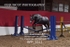 BPP_2511