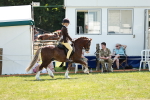 SBM_15772