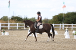 SBM_015950