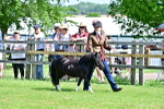SBM_03638