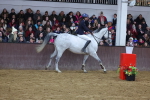 SBM_003799