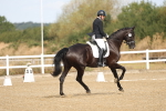 SBM_008231