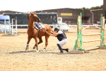 SBM_000914