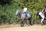 WJ6_8232