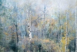 Woodland birches in Autumn mist