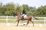 SBM_017379