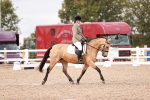 SBM_06335