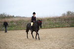 SBM_004713