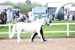 SBM_01098