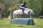 20260503-9194