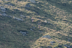 HBMR-Leg 4-5