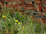 Shoreham Fort - 78