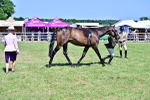 SBM_18240